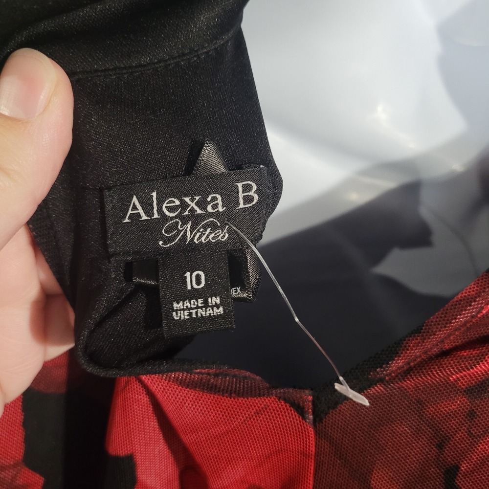 VTG Alexa B Nites Dark Romantic Dress Size 10 Sheer Mesh Roses Whimsigoth Lined - Picture 10 of 12